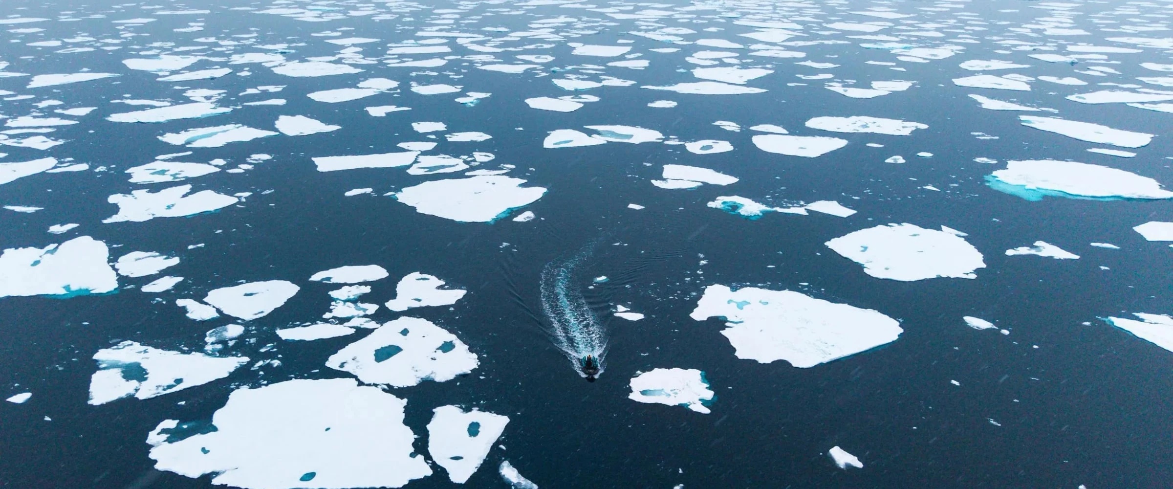南极海冰水域